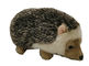 Lightweight 0.15m 0.49ft Big Hedgehog ECO Friendly Stuffed Animals