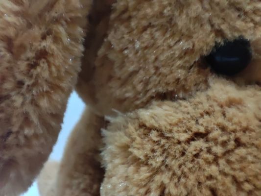 The Dog Plush Toy Can Be Heated in The Microwave Heated Dolls