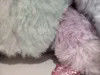 Recording & Repeating Tie Dye Sloth Vividly Colored Plush Toy Sloth That Can Talk