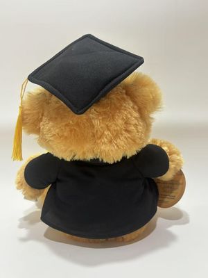 Graduation Bear Plush toy stuffed doll Baby comfort doll