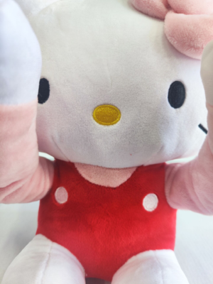 2 Colour Peekaboo Hello Kitty Educational Toy Best Gift for Kids Plush Toy