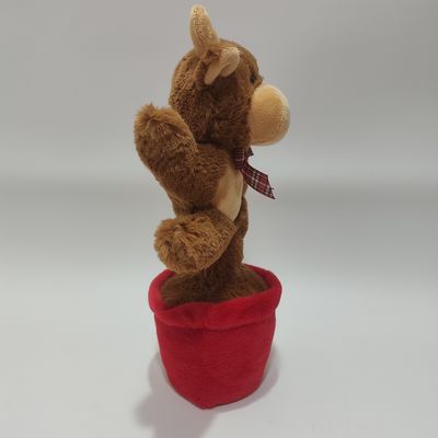 Singing & Dancing Highland cow