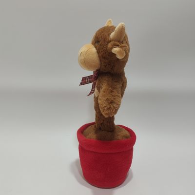 Singing & Dancing Highland cow