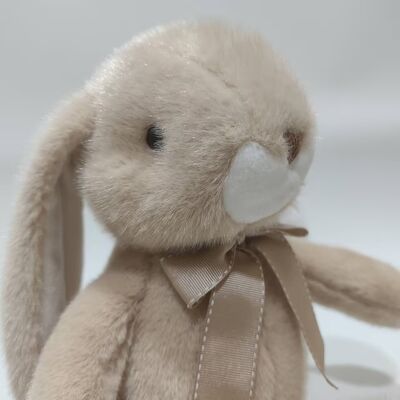 2 Assorted Sitting Lop-Ear Rabbit Plush Toys Soft & Cute Stuffed Bunny for baby