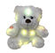 0.82ft 0.25M LED Plush Toy Colour Changing Teddy Bear With Lights And Music Furry Hair