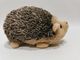 17cm 6.69in Toys Out Of Recycled Materials Rainbow Hedgehog Stuffed Animal