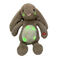 Singing 0.25M 9.84in Stuffed Animal With Light Up Belly Plush Toy