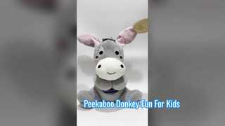 Peekaboo Donkey